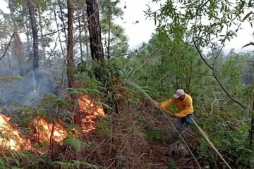 Sofocan el primer incendio de la temporada 