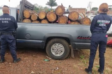 SSP decomisa cerca de 18 piezas de madera presuntamente ilícita, en Uruapan