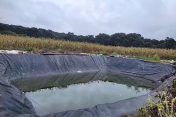 Hacer ollas de agua es ilegal; con Guardián Forestal serán detectadas