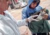 Continúa la vacunación antirrábica para perros y gatos en Uruapan