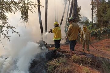 Incendio en el Cerro de la Cruz, controlado a un 80 por ciento