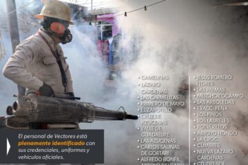 SSM implementa operativo contra el dengue en La Piedad