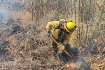 Brigadas trabajan en liquidar incendio en La Quebradora