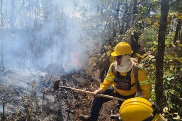 Brigadistas controlan incendio forestal de El Zapién
