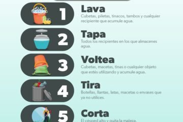 Prevenir el dengue desde casa es muy sencillo con esta estrategia de salud