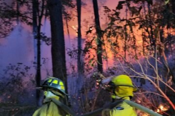 Atención inmediata y sin descanso a incendio forestal en el Zapién