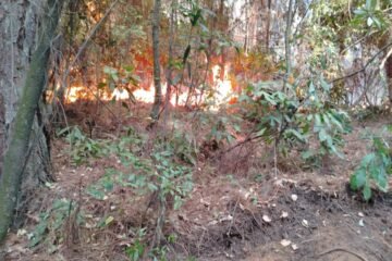 Brigadistas controlan incendio en el Cerro de la Charanda