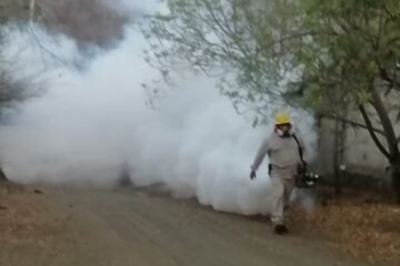 Conoce esta sencilla estrategia para combatir el dengue desde casa