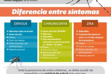 Conoce los síntomas que diferencian el dengue, zika y chikungunya