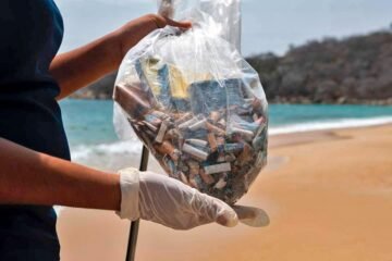 Limpian playas de Michoacán de colillas de cigarros