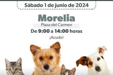 Protege a tus mascotas de la rabia; SSM vacunará este sábado en Morelia