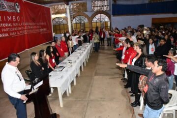 En el PRI respetamos la ley y los Estatutos: Memo Valencia