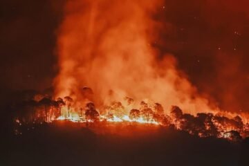 Controlan brigadistas incendio del cerro de la Cruz
