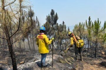 Contenidos, incendios forestales de Uruapan