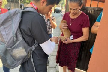 Mantiene SSM vacunación antirrábica para perros y gatos en Uruapan