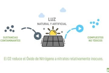 Michoacán, a la vanguardia en América Latina con tecnología verde para purificación del aire