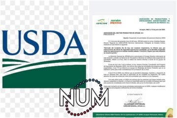 Suspensión Temporal de Exportación de Aguacate a EUA por Detención y Agresión a Inspectores de USDA