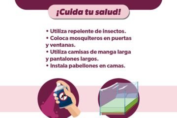 ¿Cuáles son los síntomas del dengue y cuánto tardan en aparecer?