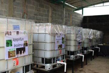Productores de Charapan ponen en operación biofábrica para fortalecer sus cultivos