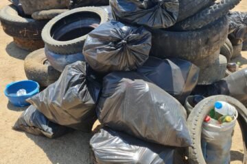 Recolectas 147 toneladas de cacharro para prevenir el dengue: SSM