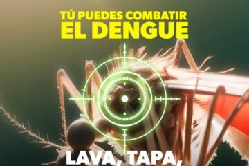¡Aguas con el dengue! Estos factores favorecen su desarrollo en el hogar
