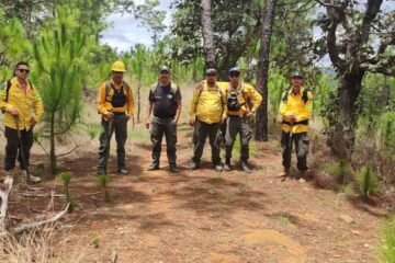 Brigadistas municipales realizan labores de restauración en el cerro de la Charanda