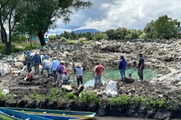 Rehabilitan 11 manantiales con trabajos de rescate del lago de Pátzcuaro