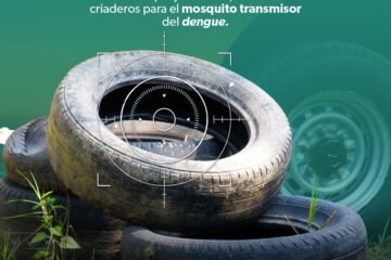Sigue estas recomendaciones de la SSM para prevenir el dengue