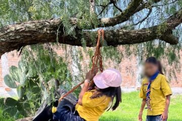 Infancias del DIF desarrollan habilidades artísticas, culturales y recreativas con scouts
