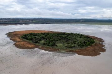 Para recuperar el lago de Cuitzeo se han invertido 200 mdp