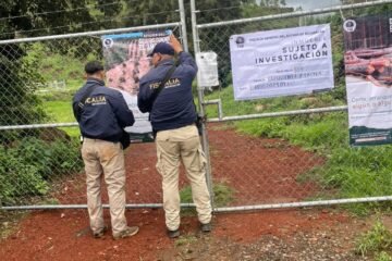 Ejecuta FGE cateo en predio relacionado en delitos contra el ambiente
