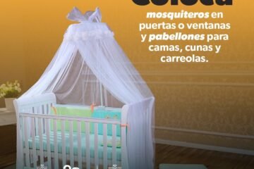 Protege a niñas y niños del dengue con estas recomendaciones de la SSM
