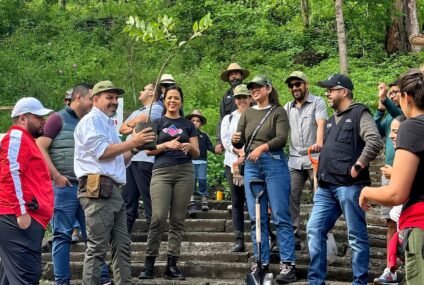 Gobierno estatal reforesta el Parque Francisco Zarco, en Morelia