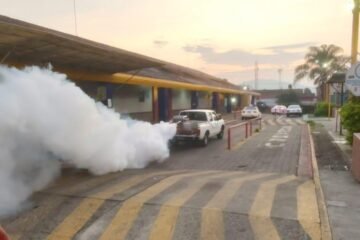 Realizadas 810 mil acciones de combate al dengue: SSM