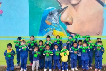 SEE invita a docentes a cursos de Unicef sobre cambio climático