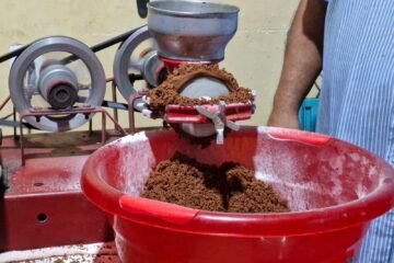 Michoacán tiene las condiciones idóneas para la producción de cacao: Sader