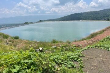 En Tacámbaro, cumplimenta FGE orden de cateo en dos predios relacionados en plantación ilegal de aguacate