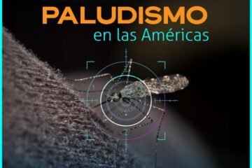 Michoacán cumple más de 20 años sin paludismo: SSM