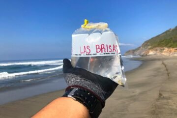 Playas michoacanas, aptas para vacacionar esta temporada: SSM