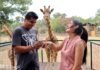 El amor se vive en el ZooMorelia; cásate el 14 de febrero en el parque