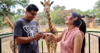 El amor se vive en el ZooMorelia; cásate el 14 de febrero en el parque