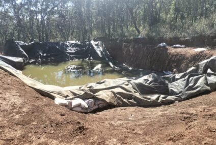 Por tala y plantación de aguacate FGE ejecuta cateo y asegura predio del municipio de Tzintzuntzan