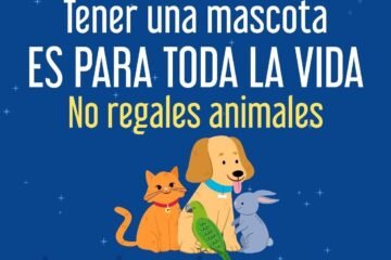 Fiscalía General refuerza acciones para erradicar la venta de animales en el operativo de Día de Reyes