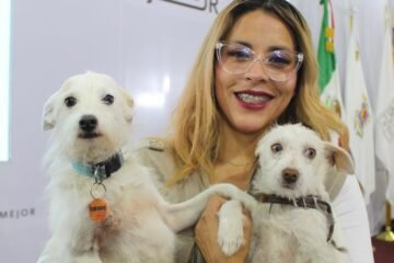 ¿Quieres un michi o lomito? Icatmi anuncia feria de la adopción en Morelia