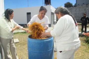 Mujeres privadas de la libertad cultivan setas en Centro Penitenciario de Zitácuaro