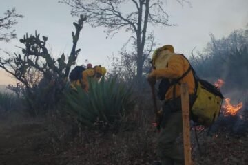 Brigadas forestales atienden 7 incendios y liquidan 2 más en Michoacán*