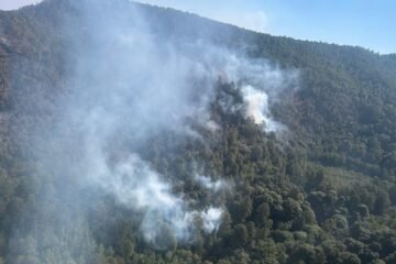 Controlado incendio forestal en zona del bosque de la Mariposa Monarca: Cofom
