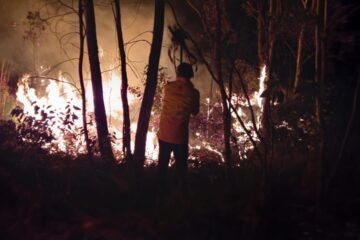 Brigadas ya se encuentran en combate de incendio en Tuxpan: Cofom
