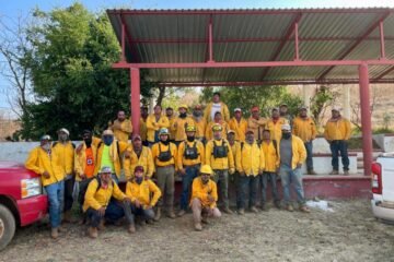 Brigadas forestales apagan 7 incendios: Cofom
