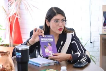 Justicia para las madres: Michoacán pone alto a los deudores alimentarios